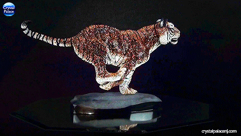 Swarovski Crystal Myriad Tiger Sabu Large
