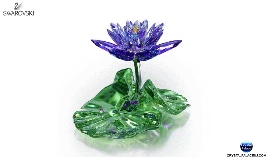 Swarovski Waterlily, Blue Violet