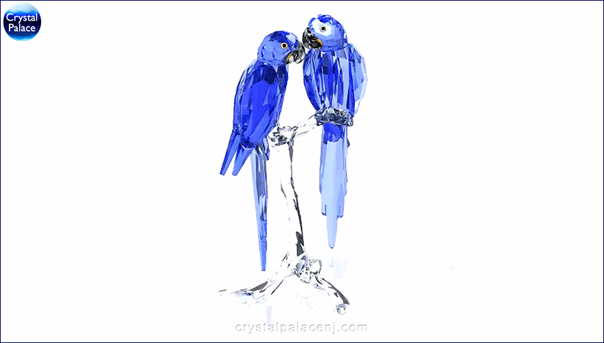 Swarovski SCS Hyacinth Macaws 2014