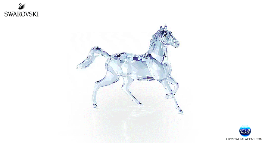 Swarovski Stallion