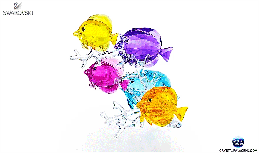 Swarovski Rainbow Fish Family