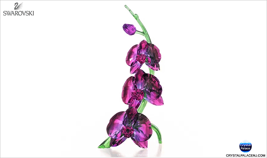 Swarovski Orchids 5243561