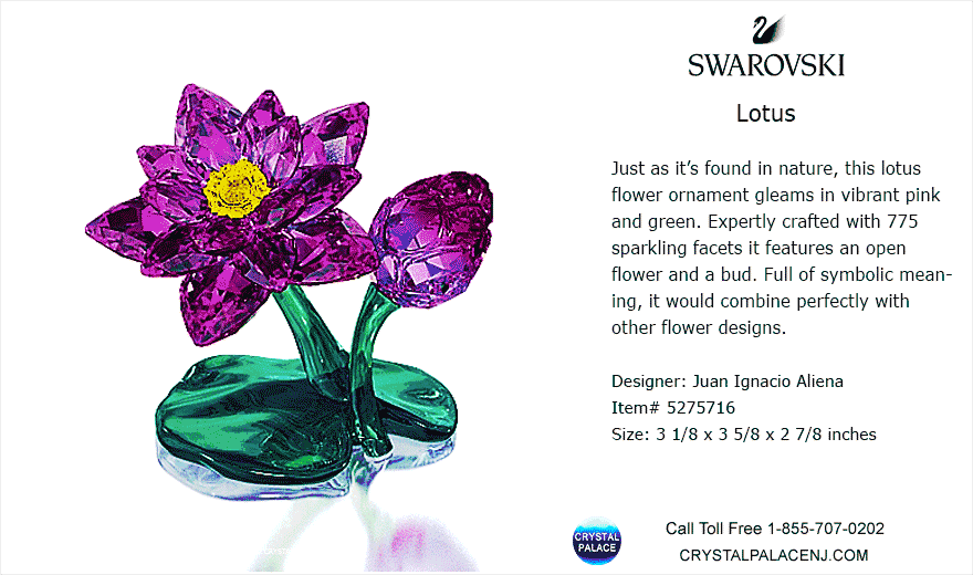 5275716 Swarovski Lotus