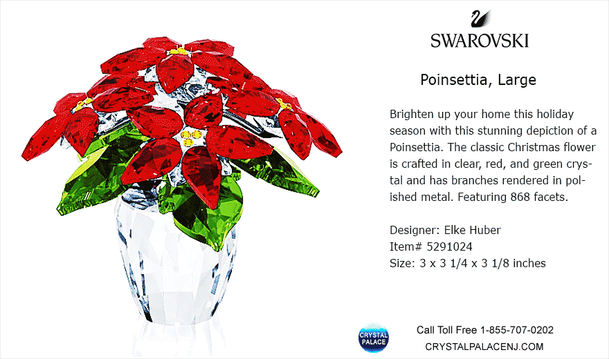 5291024 Swarovski Poinsettia Large