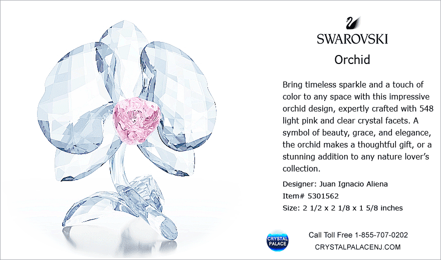 5301562 Swarovski Orchid