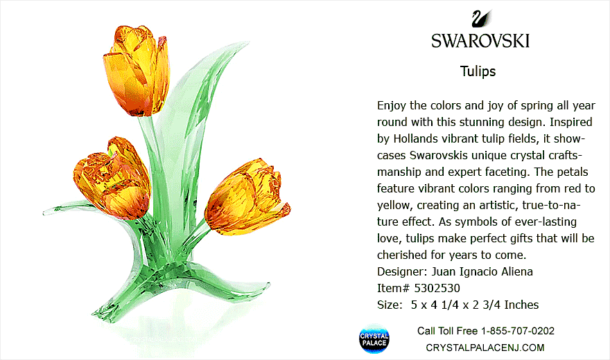 5302530 Swarovski Tulips