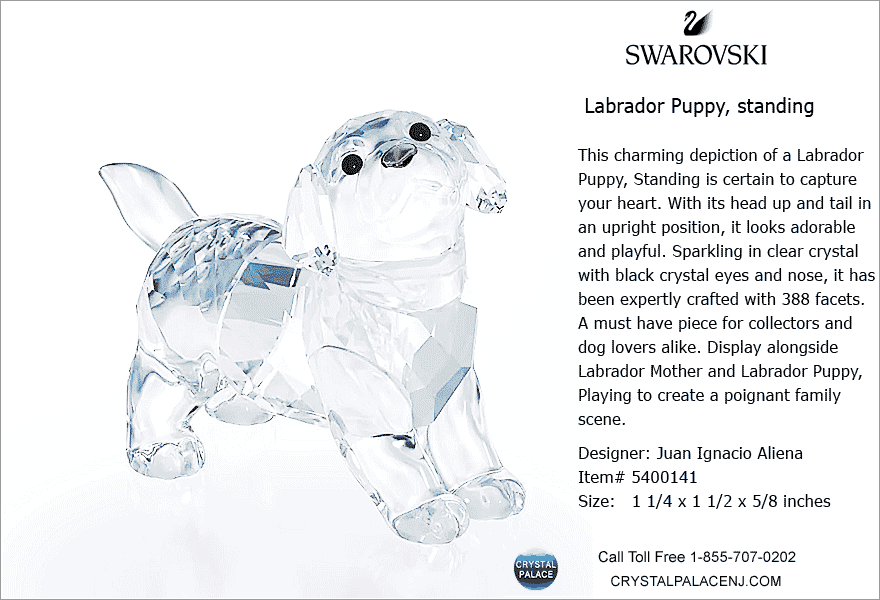 5400141 Swarovski Labrador Puppy, standing