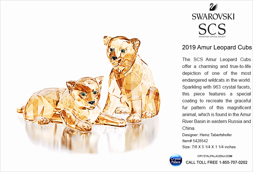5428542 Swarovski SCS Annual Edition 2019 Amur Leopard Sofia Cubs