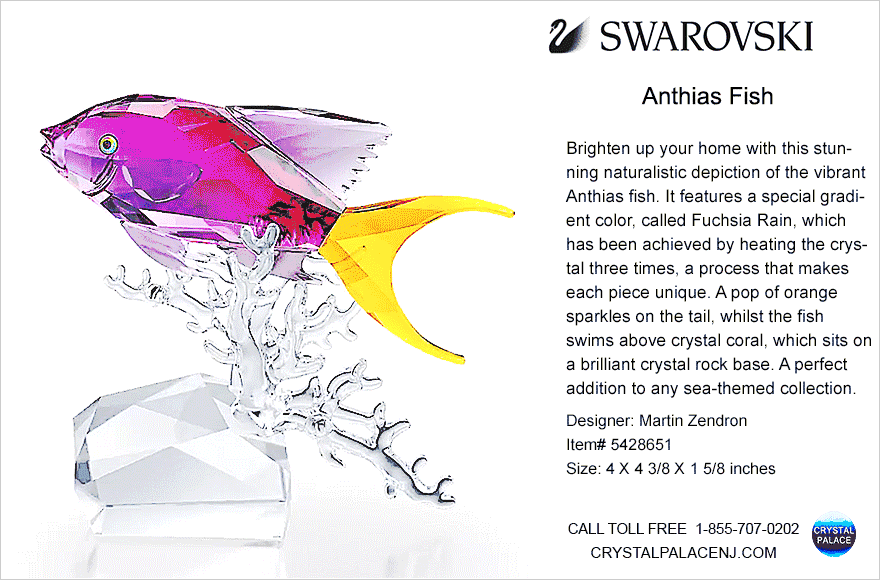 5428651 Swarovski Anthias Fish