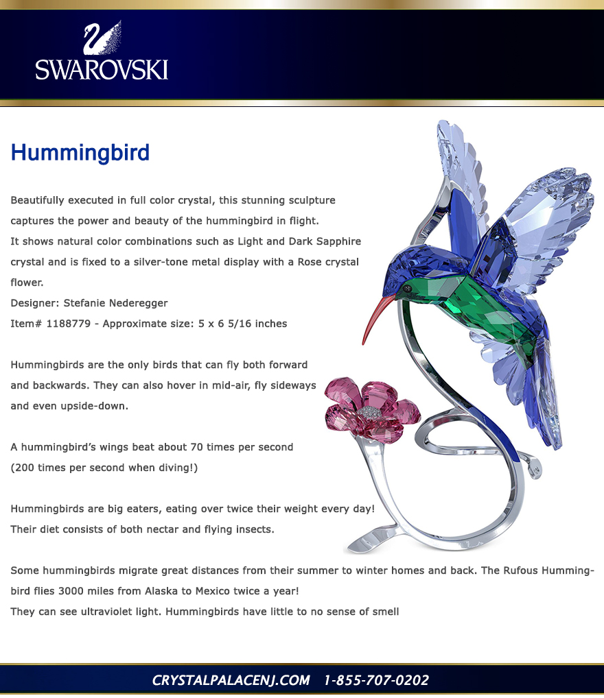 Swarovski HUMMINGBIRD